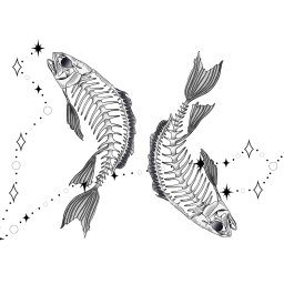 Katarzyna Pieczonka - Ilustracja dwóch szkieletów ryb ułożonych symetrycznie, połączonych liniami z gwiazdami na białym tle. Delikatna grafika w stylu dotwork, przypominająca konstelację.