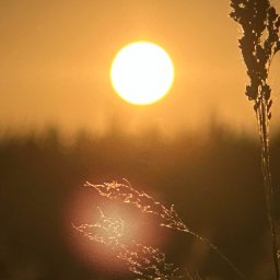 Graficy Stalowa Wola 1