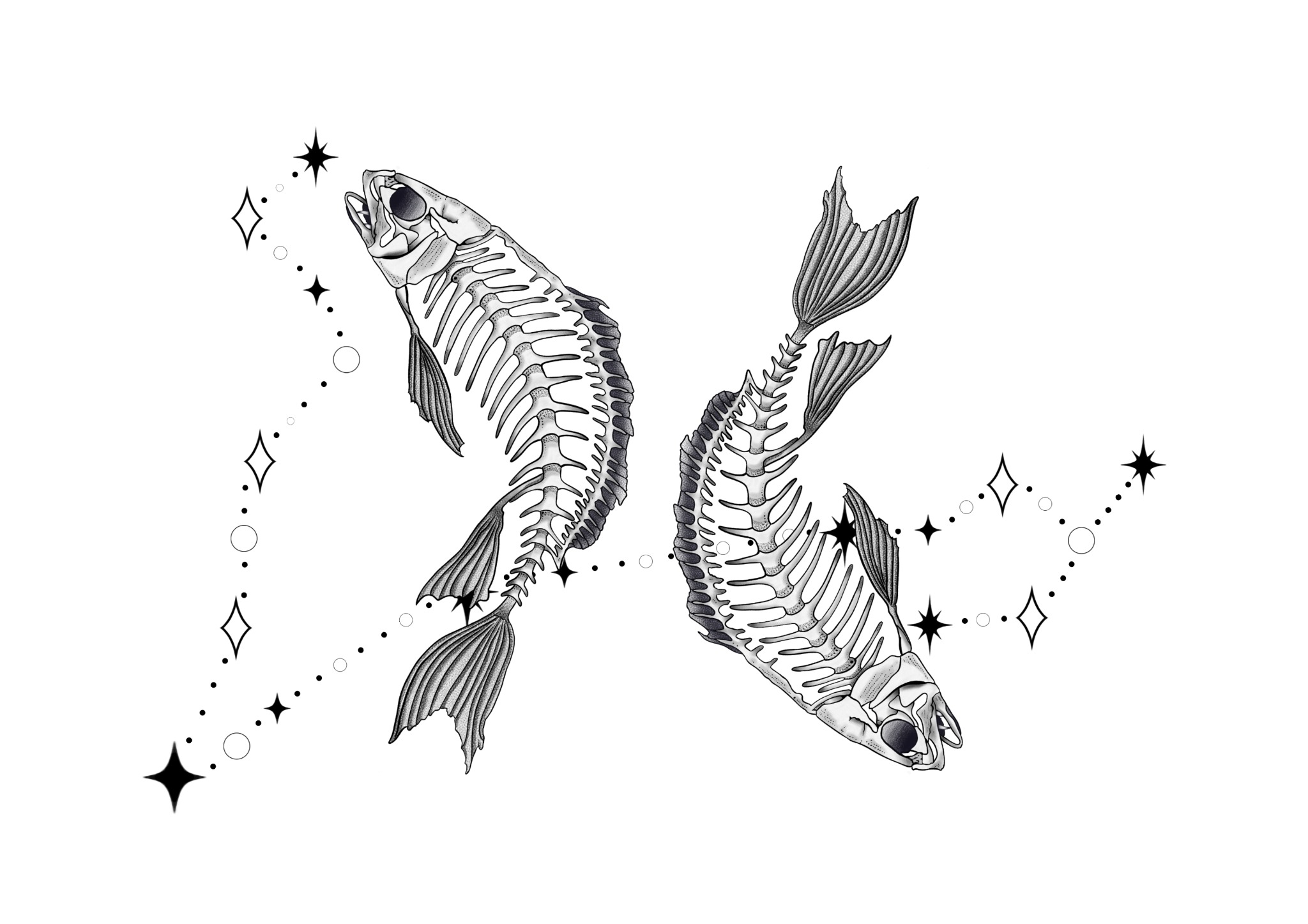 Ilustracja dwóch szkieletów ryb ułożonych symetrycznie, połączonych liniami z gwiazdami na białym tle. Delikatna grafika w stylu dotwork, przypominająca konstelację.