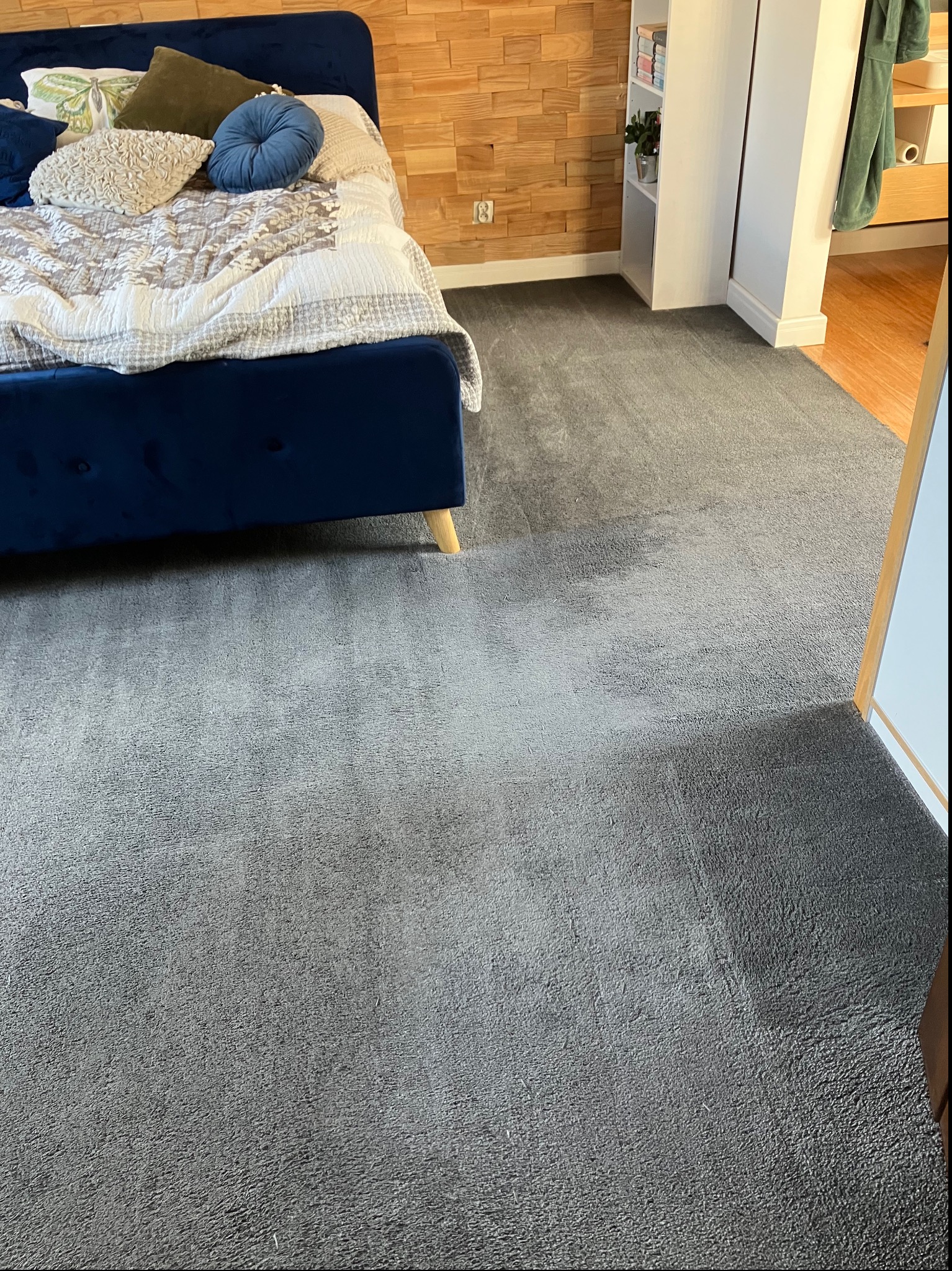 Szary dywan w sypialni z łóżkiem o niebieskim, welurowym zagłówku i drewnianą ścianą w tle. Widoczne ślady po czyszczeniu dywanu.