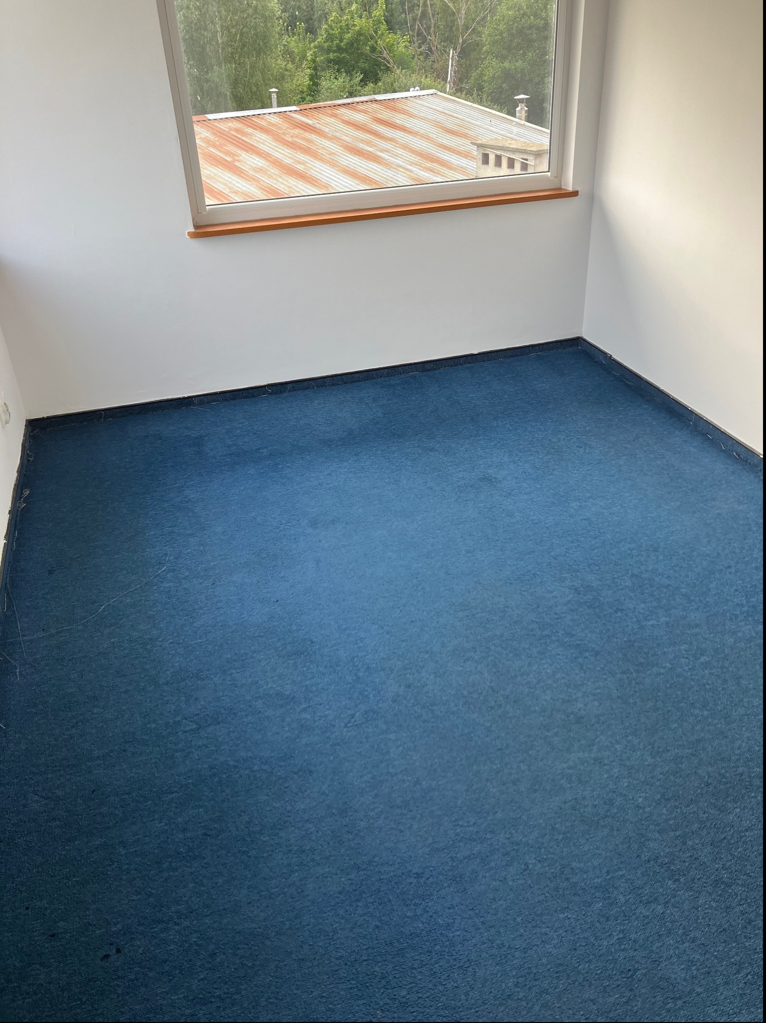 Pokój z niebieską wykładziną dywanową, widok na zewnątrz przez okno. W tle widać budynki i zieleń. Wykładzina czysta, bez plam. Całość w jasnych, naturalnych barwach.