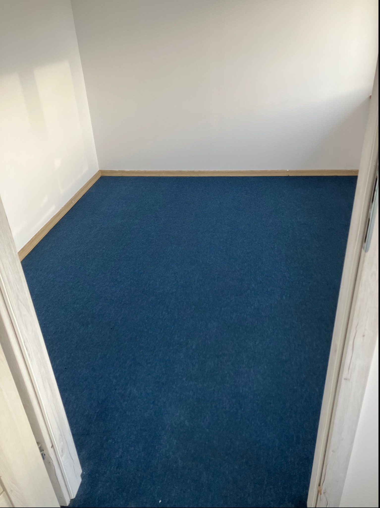 Pokój z ciemnoniebieską wykładziną dywanową, widok z progu drzwi. Jasne ściany i drewniana listwa przypodłogowa. Minimalistyczne wnętrze, neutralne oświetlenie.