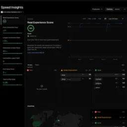 Wyniki Speed Insights dla strony www.alicja-kobialka.com. Ocena 100, co oznacza 'Great'. Wykres wydajności w czasie. Dobre wyniki dla różnych podstron.