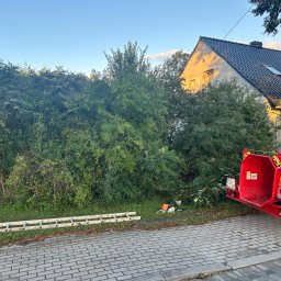 Wycinka drzew Sulechów 4