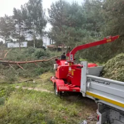 Czerwony rębak do gałęzi w trakcie pracy; w tle powalone drzewo i pracownicy. Wszechobecne zrębki i ścięte gałęzie. Widoczny fragment przyczepy z nazwą firmy.