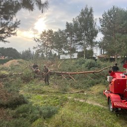 Wycinka drzew Sulechów 2