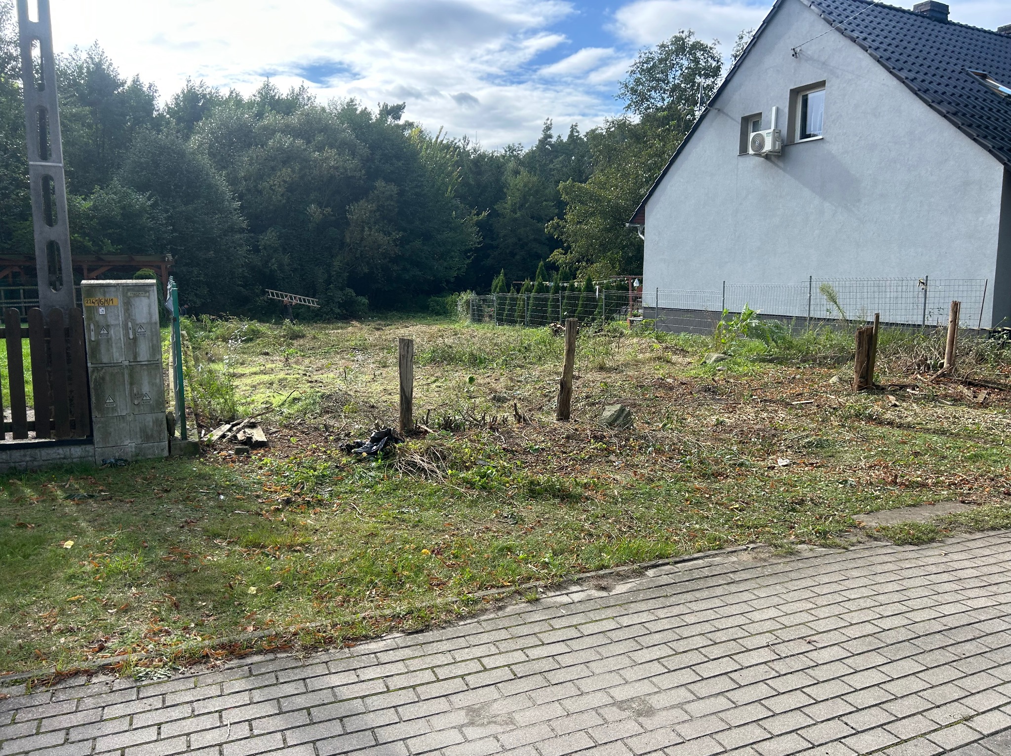 Teren po wycince drzew i krzewów z widocznymi pniami, resztkami gałęzi i liści na trawie. W tle dom z klimatyzatorem i drzewa.