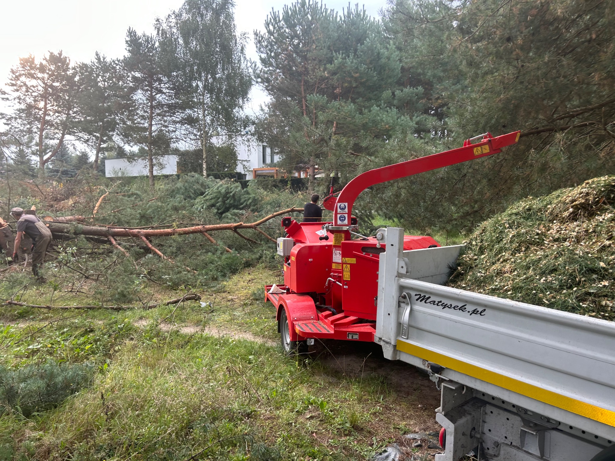 Czerwony rębak do gałęzi w trakcie pracy; w tle powalone drzewo i pracownicy. Wszechobecne zrębki i ścięte gałęzie. Widoczny fragment przyczepy z nazwą firmy.