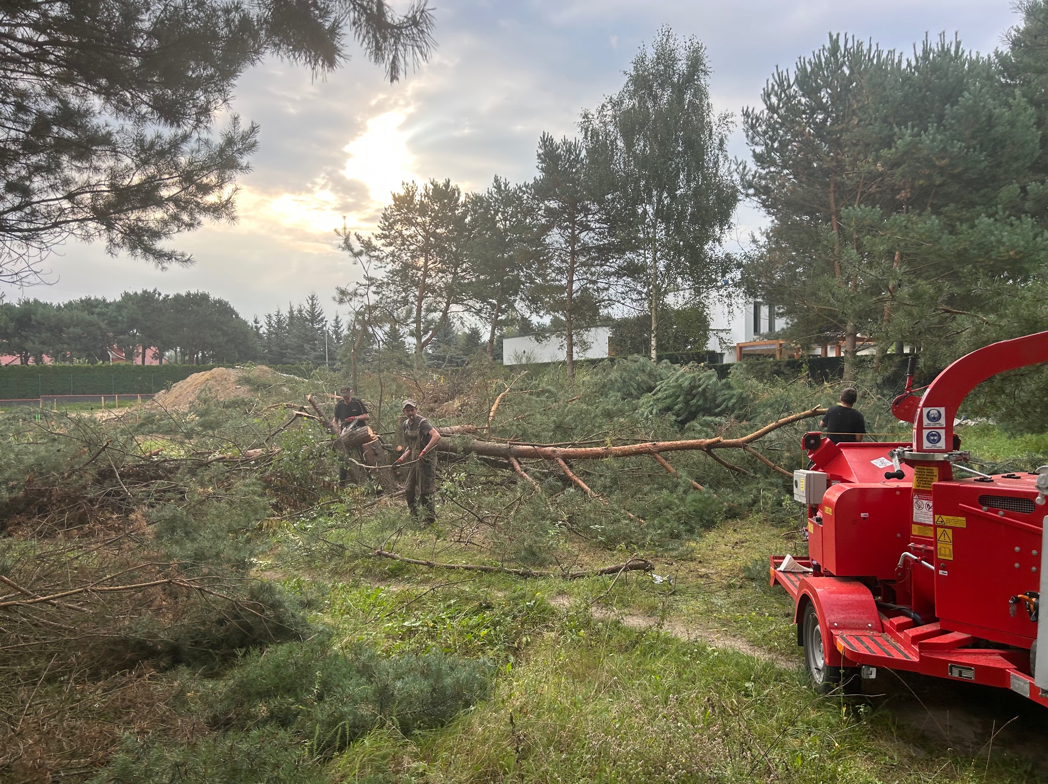 Ekipa przy pracy: mężczyźni w odzieży roboczej tną drzewo. W tle dom i rozdrabniarka do gałęzi. Słoneczny dzień, widok na teren z powalonymi pniami.