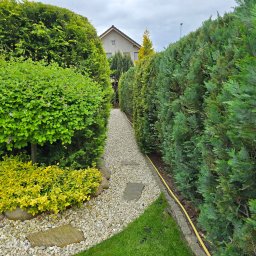 PH.Gregor Grzegorz Pięta - Ogród z ścieżką z kamyków, obrzeżami z kamienia i równo przyciętymi krzewami oraz wysokimi tujami po bokach. Widoczny fragment domu w tle.