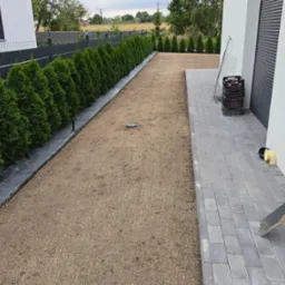 Przygotowany teren pod trawnik z rozłożonymi nasionami, obok rząd regularnie posadzonych, zielonych drzewek. Widoczne narzędzia ogrodnicze i kostka brukowa.