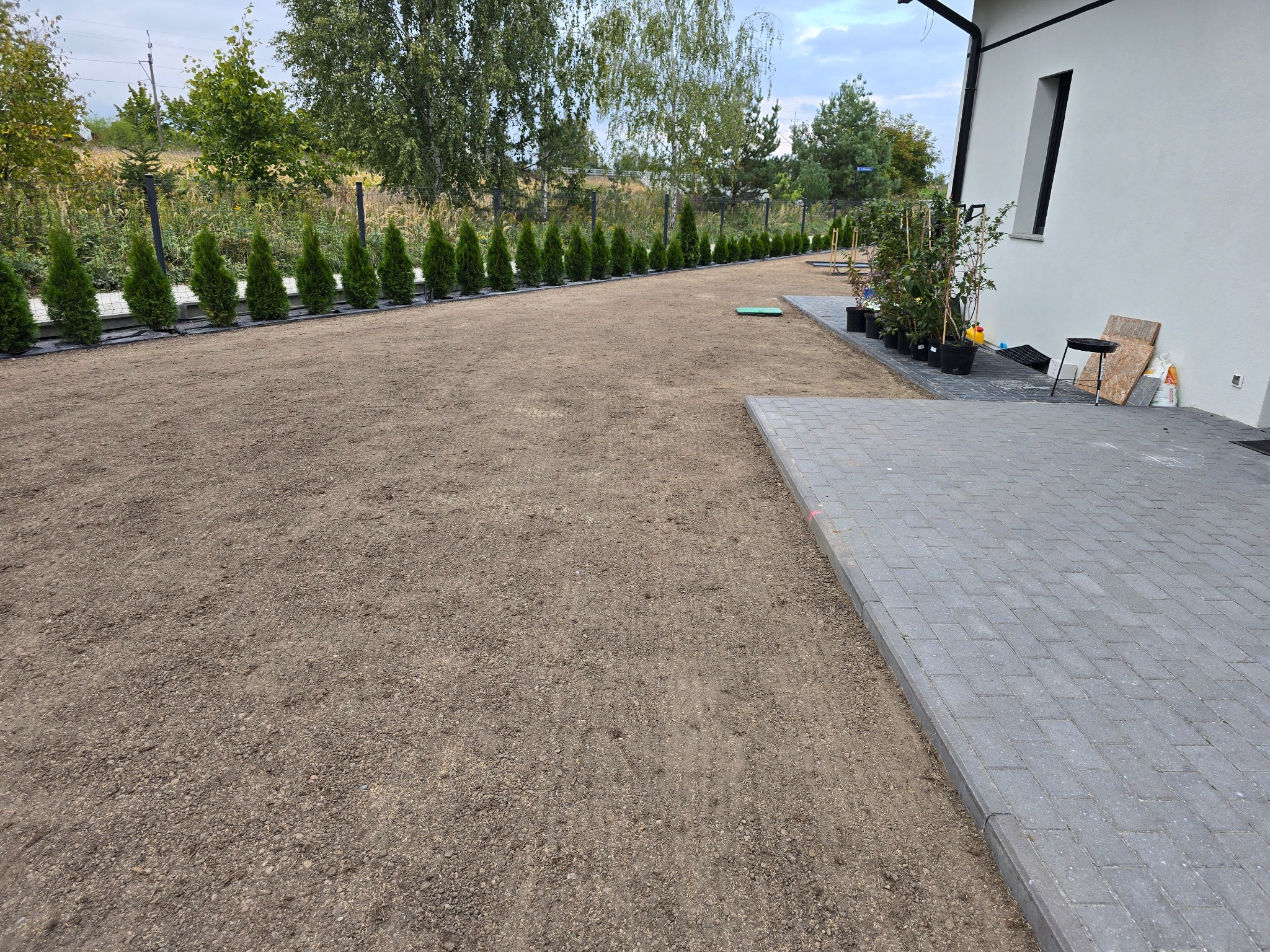 Przygotowany teren pod trawnik z nasadzeniami tuj wzdłuż ogrodzenia. Kostka brukowa na podjeździe i ściana budynku w tle. Widok z poziomu gruntu.