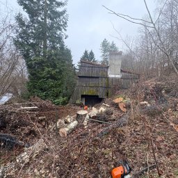 Wycinka drzew Ińsko 1