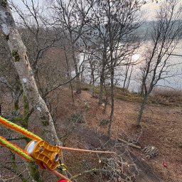 Wycinka drzew Ińsko 3