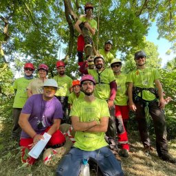 Wycinka drzew Ińsko 4