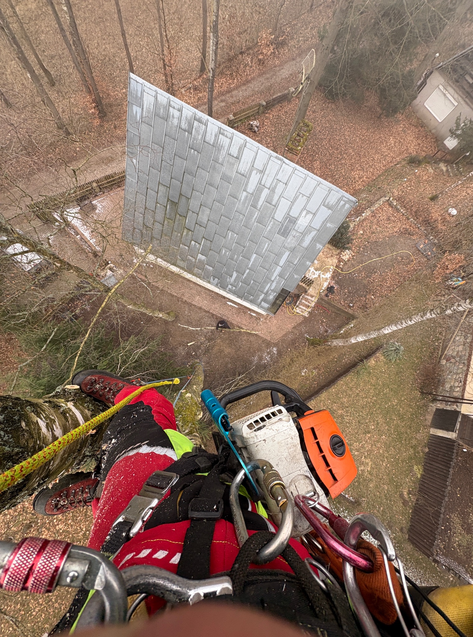 Widok z góry na pracownika z piłą, uprzężą i linami na drzewie; w tle dom z szarą dachówką i jesienny krajobraz.