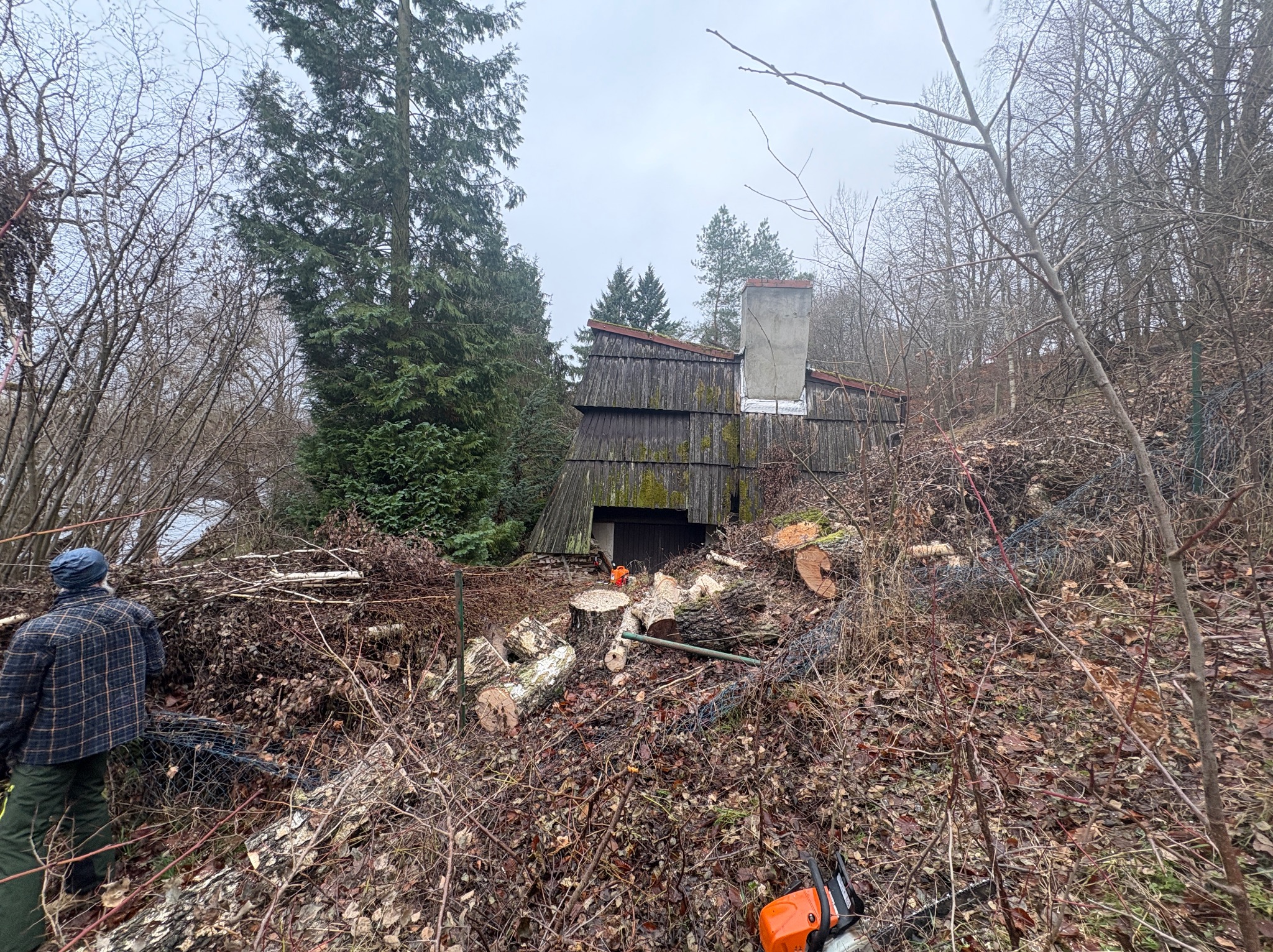 Po wycince: pnie drzew, gałęzie i piła spalinowa na tle starego, drewnianego domu z kominem. Widoczna osoba w oddali. Pochmurny dzień.