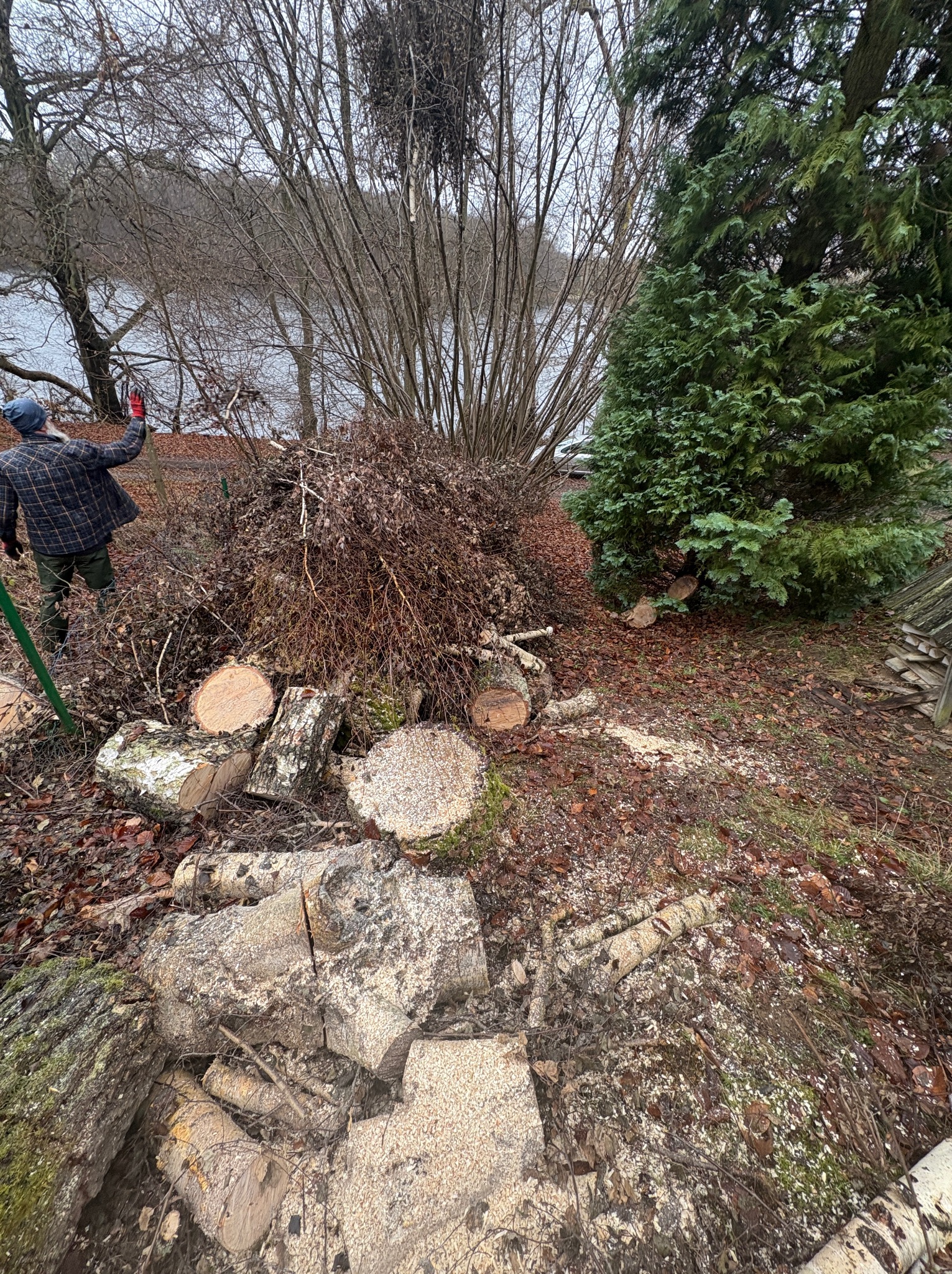 Stos pociętych pni drzew i gałęzi po wycince, z pracownikiem w oddali, na tle jeziora i drzew. Widoczne ślady cięcia i trociny.