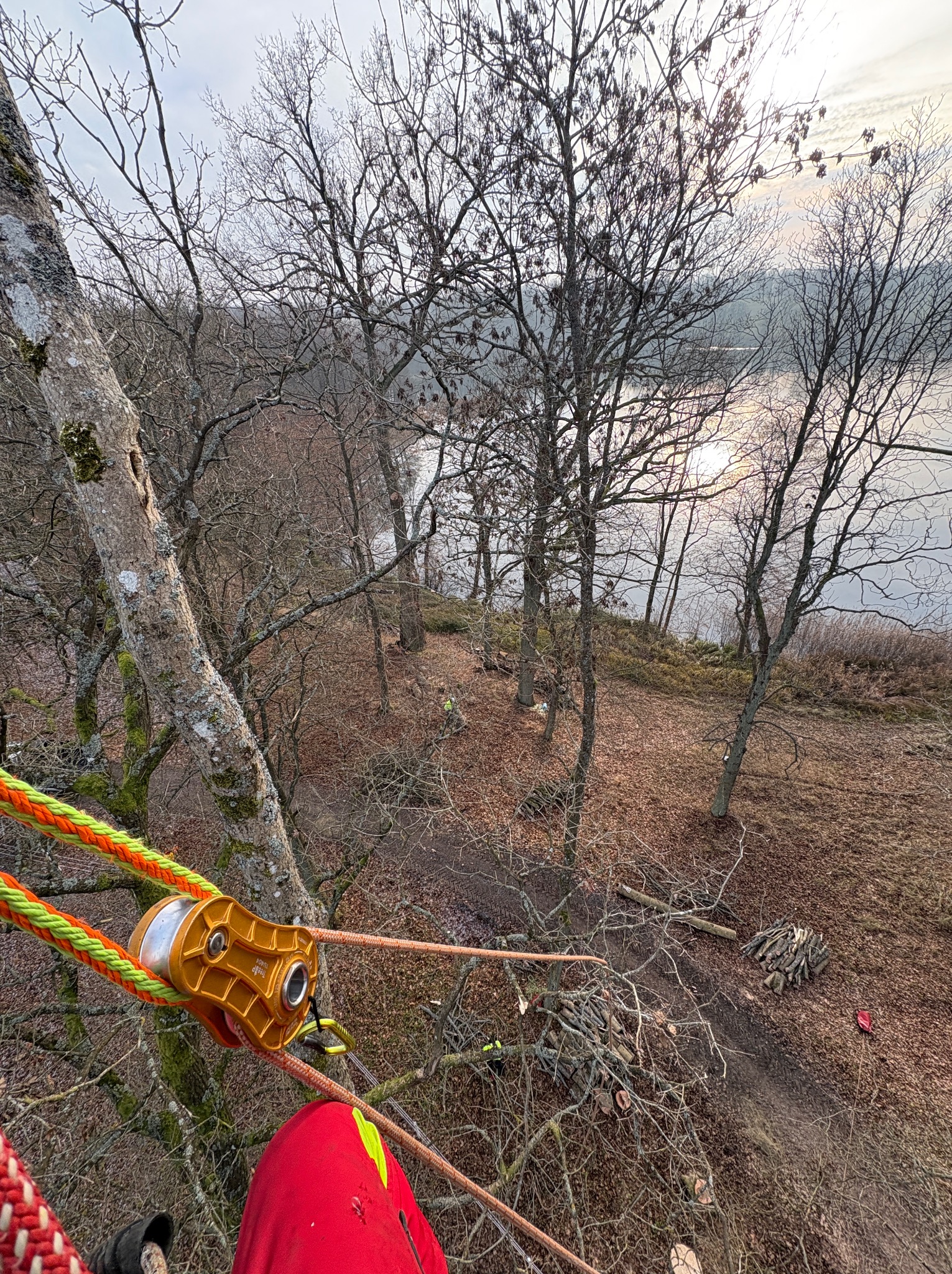 Widok z góry na teren po pracach arborystycznych: ścięte gałęzie, sprzęt wspinaczkowy, w tle jezioro i pracownicy w oddali. Czerwone spodnie w dolnej części kadru.