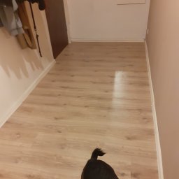 RAM7ES - REMONTY - Jasna podłoga laminowana w korytarzu, z widocznym fragmentem psa w dolnej części kadru. Ściany pomalowane na biało i delikatny róż. U góry wisi obraz.