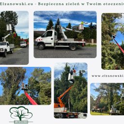 Elzanowski.eu - Profesjonalne usługi pielęgnacji zieleni - Kompozycja zdjęć z prac związanych z pielęgnacją zieleni z użyciem podnośników koszowych. Widoczne drzewa i pojazdy. Prace na wysokościach.