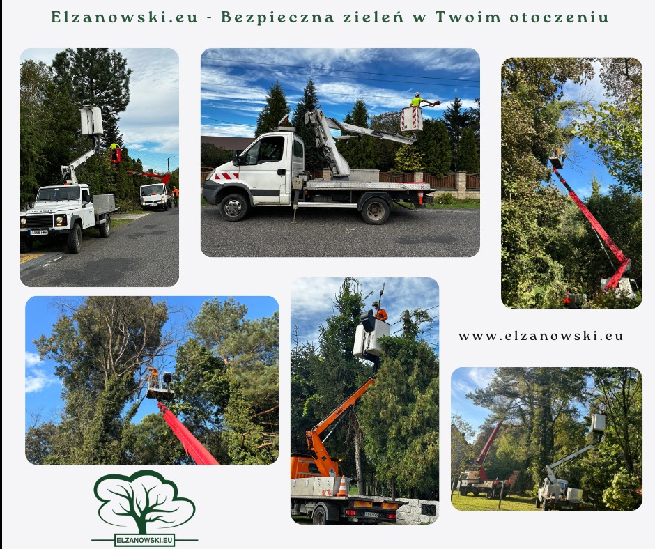 Kompozycja zdjęć z prac związanych z pielęgnacją zieleni z użyciem podnośników koszowych. Widoczne drzewa i pojazdy. Prace na wysokościach.