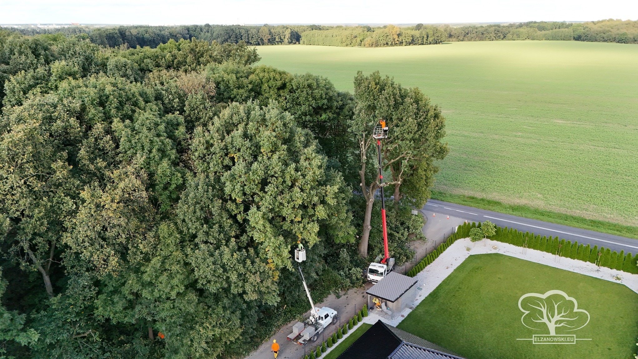 Wycinka drzew z podnośników koszowych. Widok z góry na teren z pracownikami i maszynami w trakcie pracy. W tle rozległe pole i las.