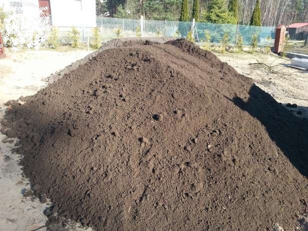 Kupa ciemnej ziemi ogrodowej na trawniku, z widocznymi grudkami i nierównościami. W tle siatka ogrodzeniowa i drzewa.