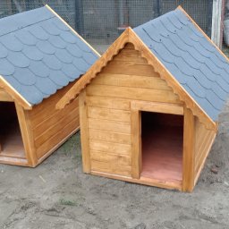 Stolarz Dęborzyce 3