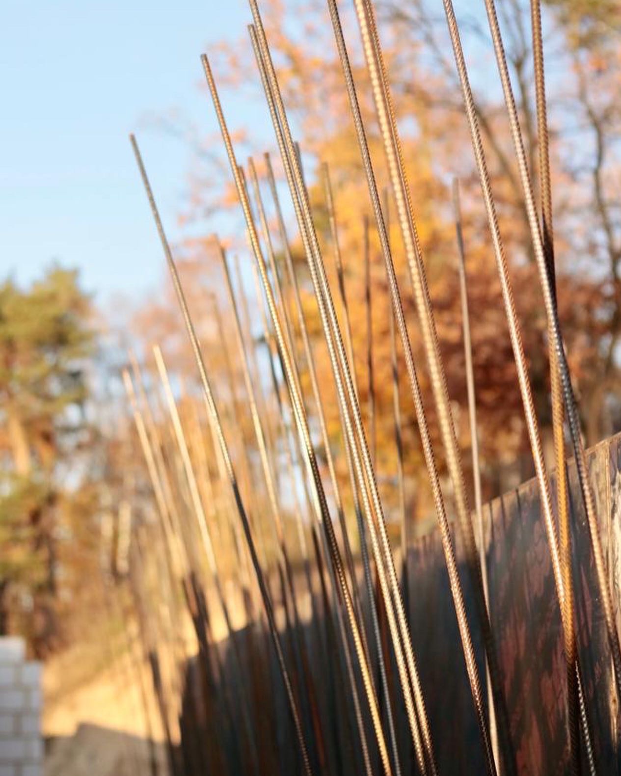 Zbrojenie pionowe wystające z szalunku fundamentów, na tle jesiennych drzew i fragmentu muru z bloczków. Widoczne detale żebrowanej stali i struktury drewna szalunku.