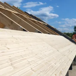 Budowa dachu domu szkieletowego: dwaj mężczyźni montują drewniane deski za pomocą narzędzia pneumatycznego na tle błękitnego nieba i zieleni.