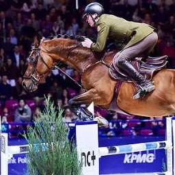 JZ Creative Studio - Jeździec w zielonym mundurze na brązowym koniu skacze przez przeszkodę na zawodach jeździeckich. Tłum widzów w tle. Logo sponsorów na przeszkodzie.