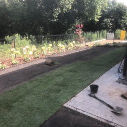 Sadzenie drzew Lublin 3