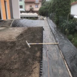 Sadzenie drzew Lublin 4