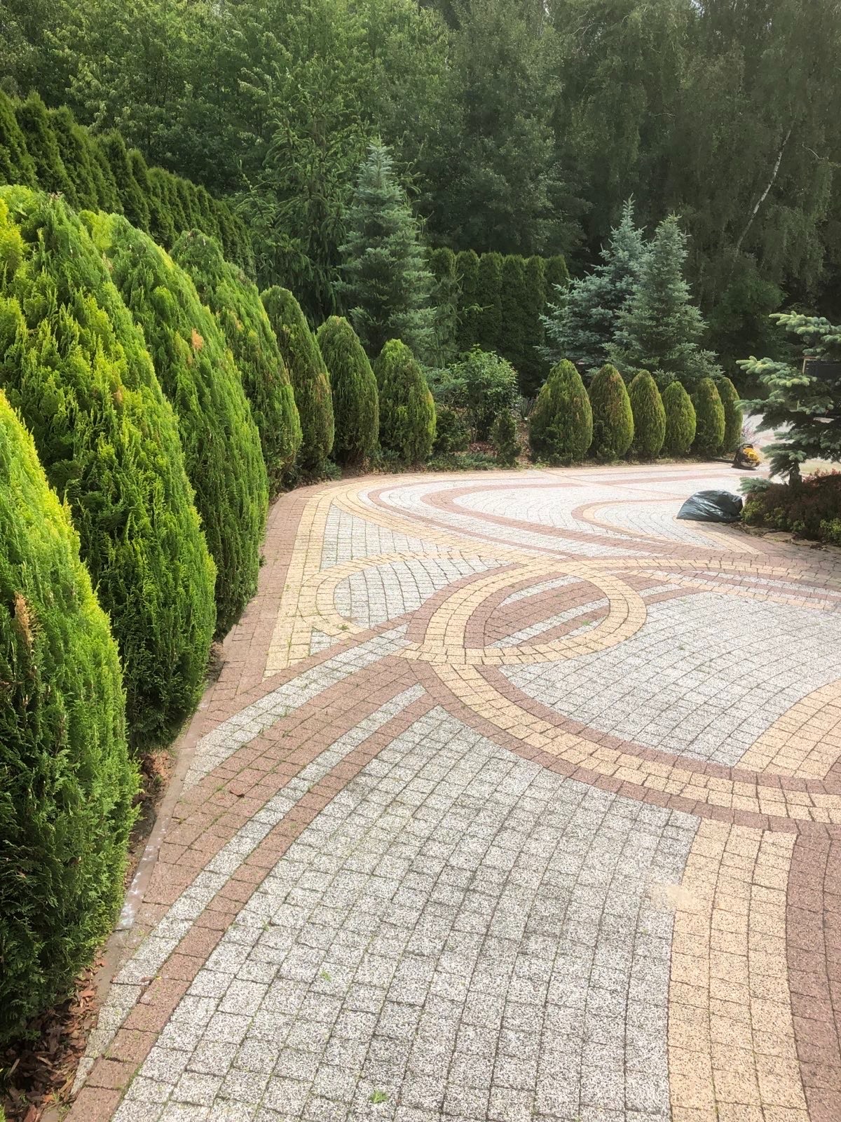Kaskadowy szpaler formowanych tuj wzdłuż ścieżki z kostki brukowej o wzorzystym deseniu, w tle drzewa iglaste i liściaste. Ujęcie z poziomu gruntu.