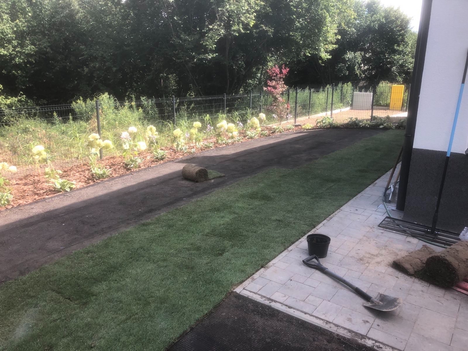 Układanie trawy z rolki w ogrodzie przydomowym. Częściowo ułożona trawa, widoczne rolki trawy, łopata i kwiaty wzdłuż ogrodzenia.