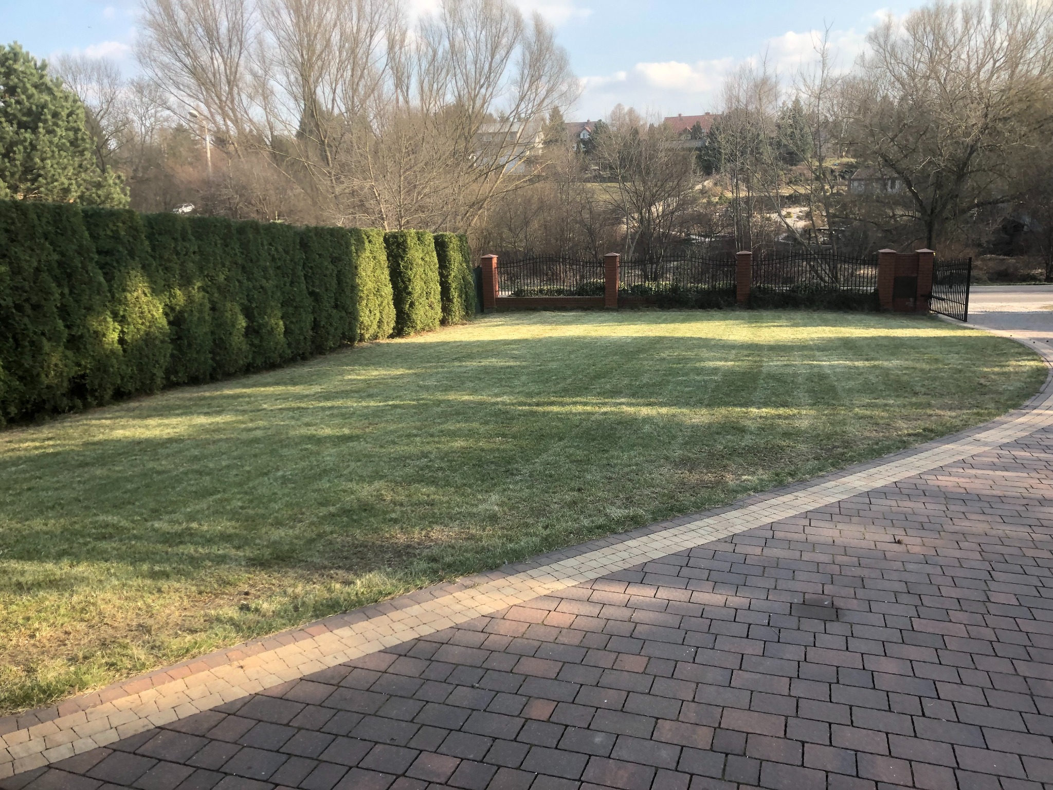 Zadbany trawnik z równo przyciętą trawą i żywopłotem z tuj w tle, widok z brukowanego podjazdu. W oddali widoczne zabudowania.