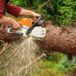 Piła łańcuchowa w akcji, tnąca kłodę drzewa. Wióry lecą spod ostrza. Operator w zielonym kombinezonie i czerwonej bluzie, zielone tło drzew.