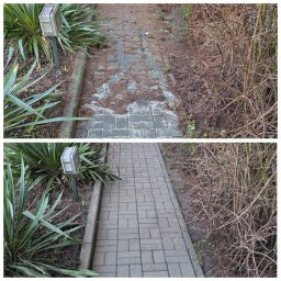 Zdjęcie 'przed i po' prezentujące efekt czyszczenia kostki brukowej. Górna część ukazuje zabrudzoną nawierzchnię, dolna - czystą, szarą kostkę. Widoczne rośliny i krzewy po bokach.