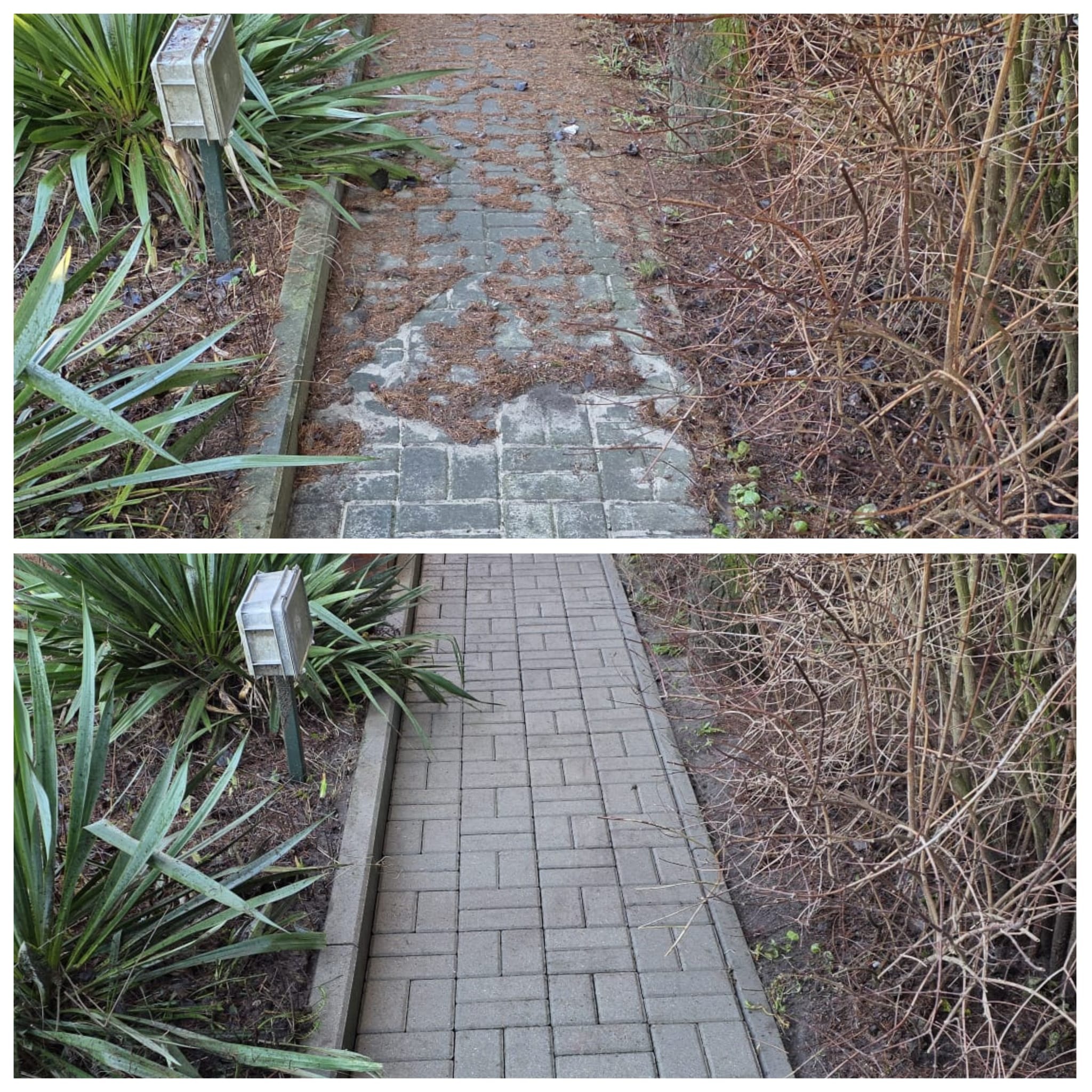 Zdjęcie 'przed i po' prezentujące efekt czyszczenia kostki brukowej. Górna część ukazuje zabrudzoną nawierzchnię, dolna - czystą, szarą kostkę. Widoczne rośliny i krzewy po bokach.