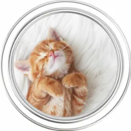 Naklejki i nadruki na przypinki