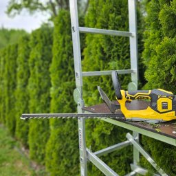 Wycinka drzew Klecza Górna 1