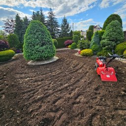 Wycinka drzew Klecza Górna 4