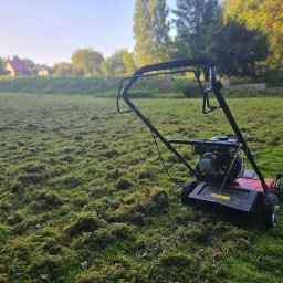 Allgarden Usługi Ogrodnicze Piotr Serwin - Czerwona kosiarka spalinowa na trawniku po wertykulacji, z widocznymi resztkami trawy. W tle drzewa i zabudowania w porannym świetle.