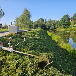 Allgarden Usługi Ogrodnicze Piotr Serwin - Kosa spalinowa Stihl na skoszonym zboczu obok stawu, świeżo skoszona trawa, w tle zieleń drzew i błękitne niebo. Widok na zadbany teren zielony.