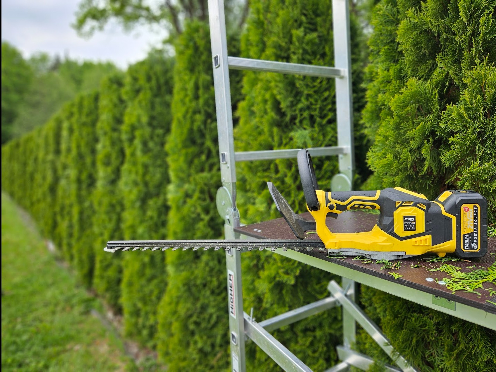 Akumulatorowe nożyce do żywopłotu na podeście rusztowania, z ostrzem skierowanym w stronę równego szpaleru tujowego, sugerujące przycinanie żywopłotu.