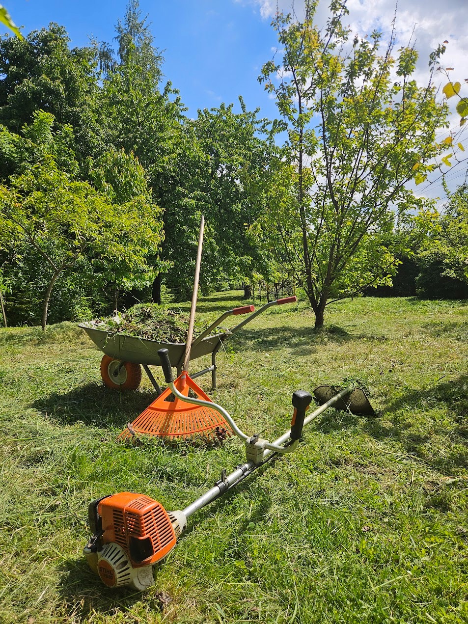 Wózek z zielenią, grabie i kosa spalinowa Stihl na trawniku w sadzie. Słoneczny dzień, błękitne niebo. Sprzęt po pielęgnacji ogrodu.