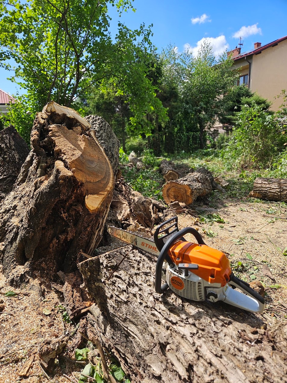 Pomarańczowa pilarka Stihl spoczywa na pniu obok świeżo ściętych kawałków drewna, w tle zieleń drzew i błękitne niebo z chmurami. Widoczny etap pracy.