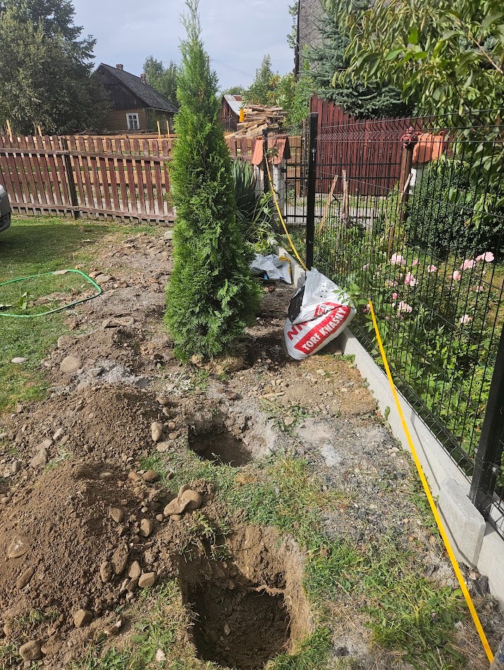 Przygotowane dołki i tuje w ogrodzie, torba z torfem obok. Etap sadzenia drzewek iglastych przy ogrodzeniu, w tle drewniany dom i porozrzucane deski.