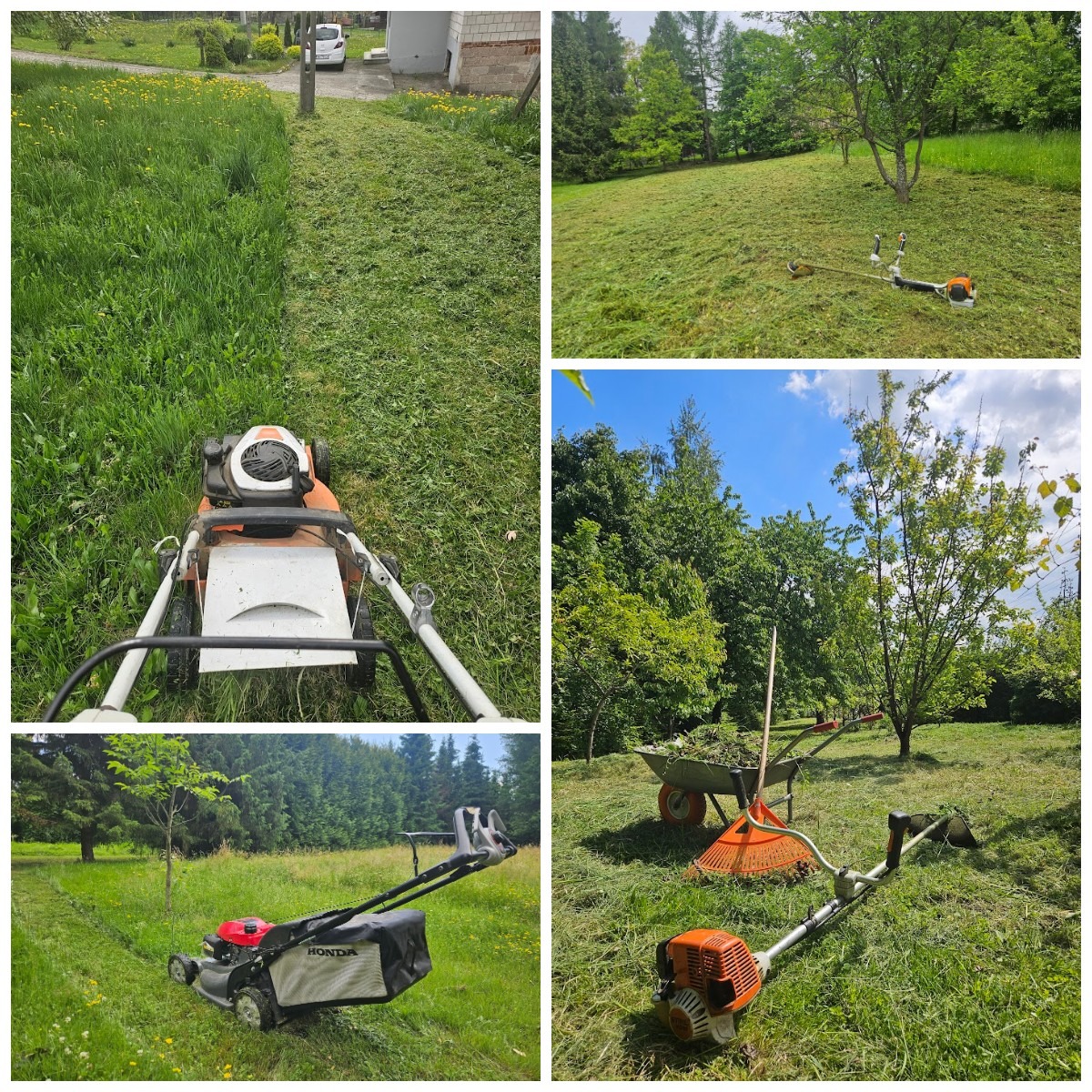 Kolaż: Koszenie trawy kosiarkami i podkaszarkami w ogrodzie. Widok trawnika przed i po koszeniu. Taczka z trawą, grabie i podkaszarka na trawniku.